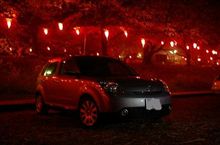 週末夜桜見物へ繰り出す