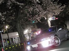 (&#180;Д｀)夜桜巡り