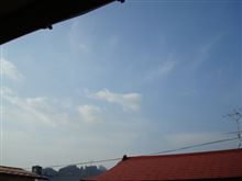 ４月５日　雨上がりの日曜日、おはです～♪ 