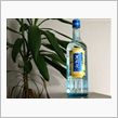 ジャスミン焼酎 茉莉花