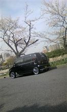 花見&発見!! 花見&発見!!