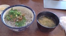 生シラス食べに
