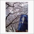 花散歩─