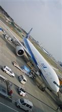 ただいまー。