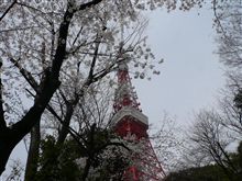お出かけ･･･