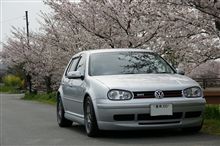 近所の桜