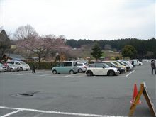 桜をバックに・・・! 桜をバックに・・・!
