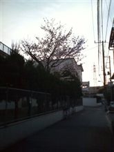 実家に