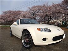ドラポジ合わず。。。