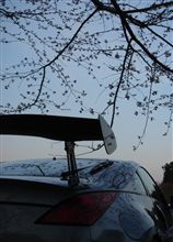 乙桜。。