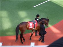 阪神競馬場へ