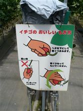やさしくしてね