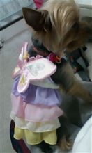 うちの子