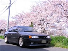 さくら。