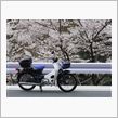 カブツーリング　吉野～黒滝村 ...