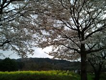 行ってきました♪