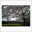 行ってきました♪