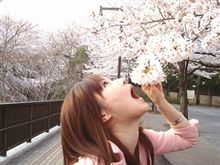 今年もお花見♪