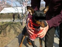 オフ会行ってきました（*￣∀￣*）