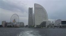 どたばた。