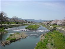 京都お花見ポタリングオフ♪