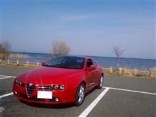 桜を見にいってきたけれど