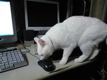 臭いかニャ～
