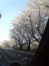 ＼おはやぅ／ 