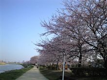 あさから…１ 