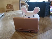 ＤＳをやる まん丸ちゃん