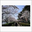 花見PARTⅡ