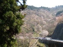 吉野山
