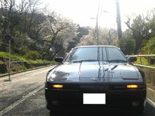 ＳＡＫＵＲＡとＳＵＰＲＡ