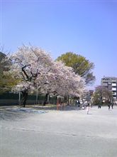 入学式♪