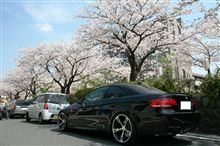 お花見日和