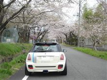 やっと撮れました！！