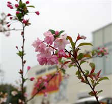 浜名湖オフ会業務連絡