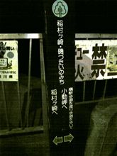 眠れない夜は･･･。