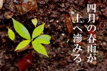 週末のＩｓｓｙ（ダイジェスト）