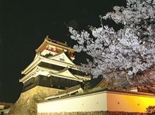 見る　→　体感する　→　すする（笑）