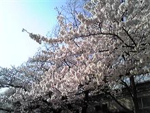 修理ｹｯﾃｲｗ