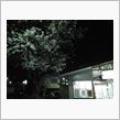 …２…夜まで…