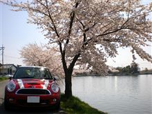 桜とＭＩＮＩ