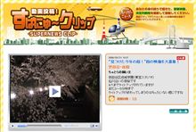 【動画投稿】すぱにゅ～クリップ　「世田谷・夜桜」