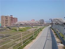 北へ帰ります