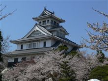 桜まだ5分咲き