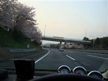 桜色に染まった高速道路