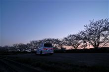 夕撮♪