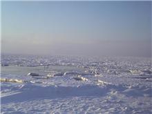 今日の流氷