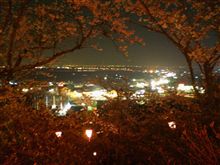 夜桜